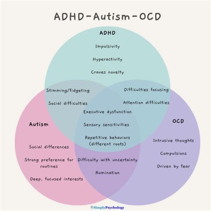 Does Greta Thunberg have a diagnosis? Autism, OCD and selective mutism explained