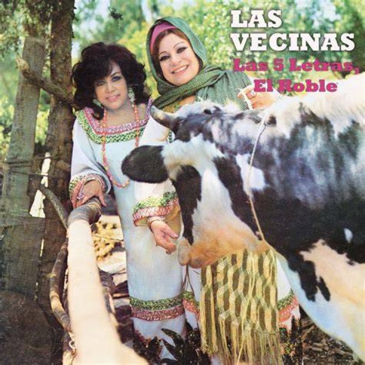 Las Vecinas