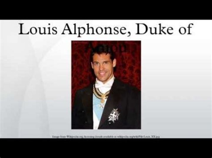 Louis Alphonse, Duke of Anjou Biography