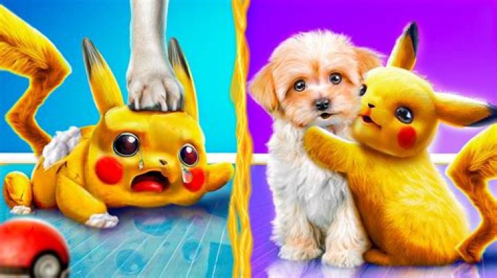 Meet the real Pikachu entertaining thousands without a Pokémon in sight