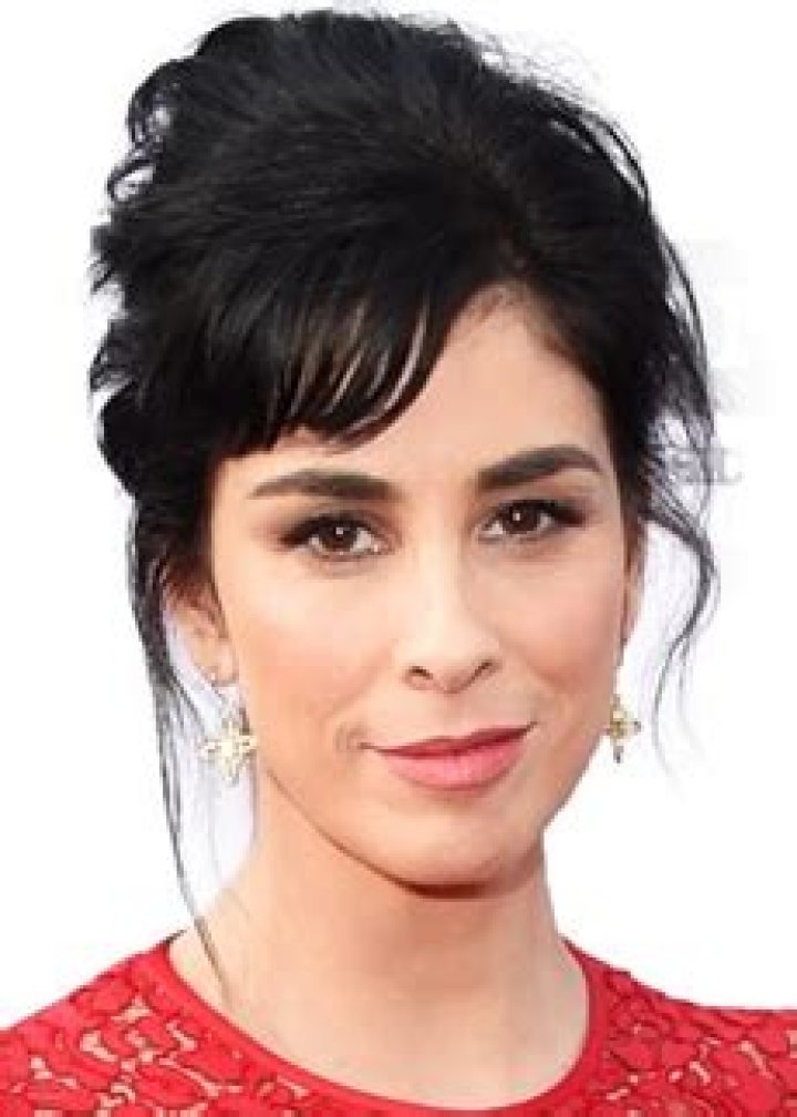 Sarah Silverman Bra Size, Age, Weight, Height, Measurements