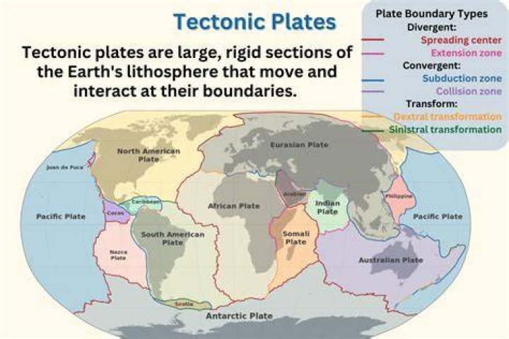 What could More Plates More Dates buy with $882.74 thousand?