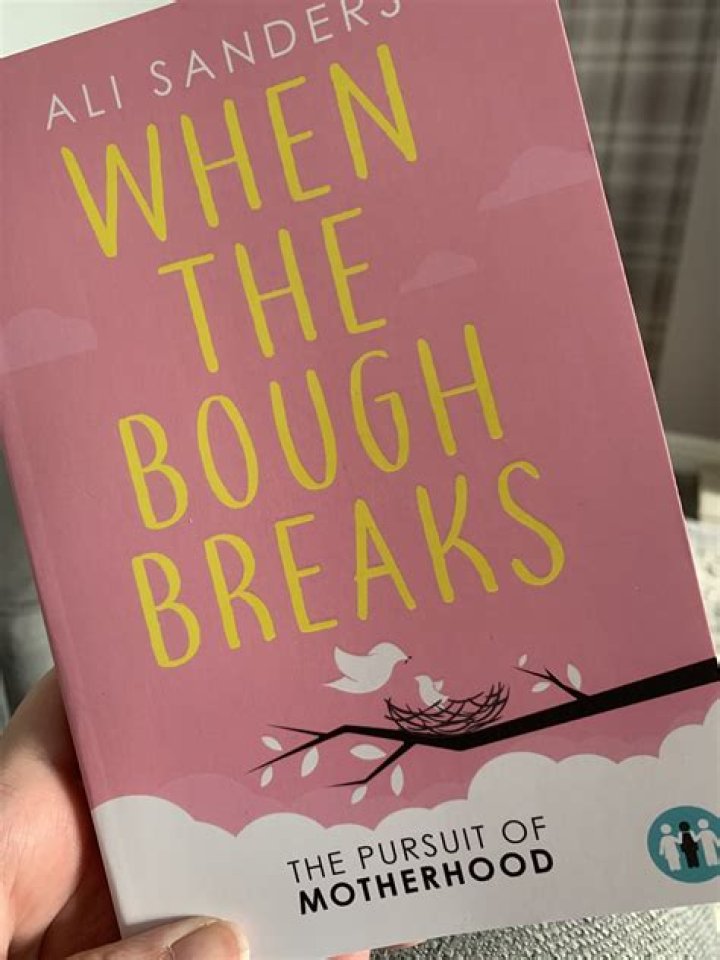 When The Bough Breaks Review
