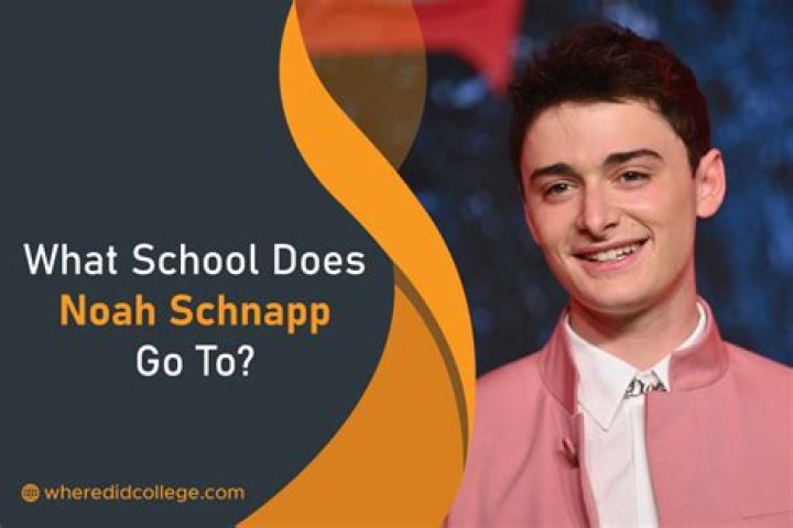 Where did Noah Schnapp go to college and high school?