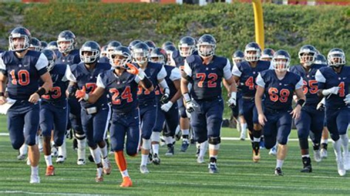 Where does Evan Mickelson go to college? Everything about Orange Coast College Athletics