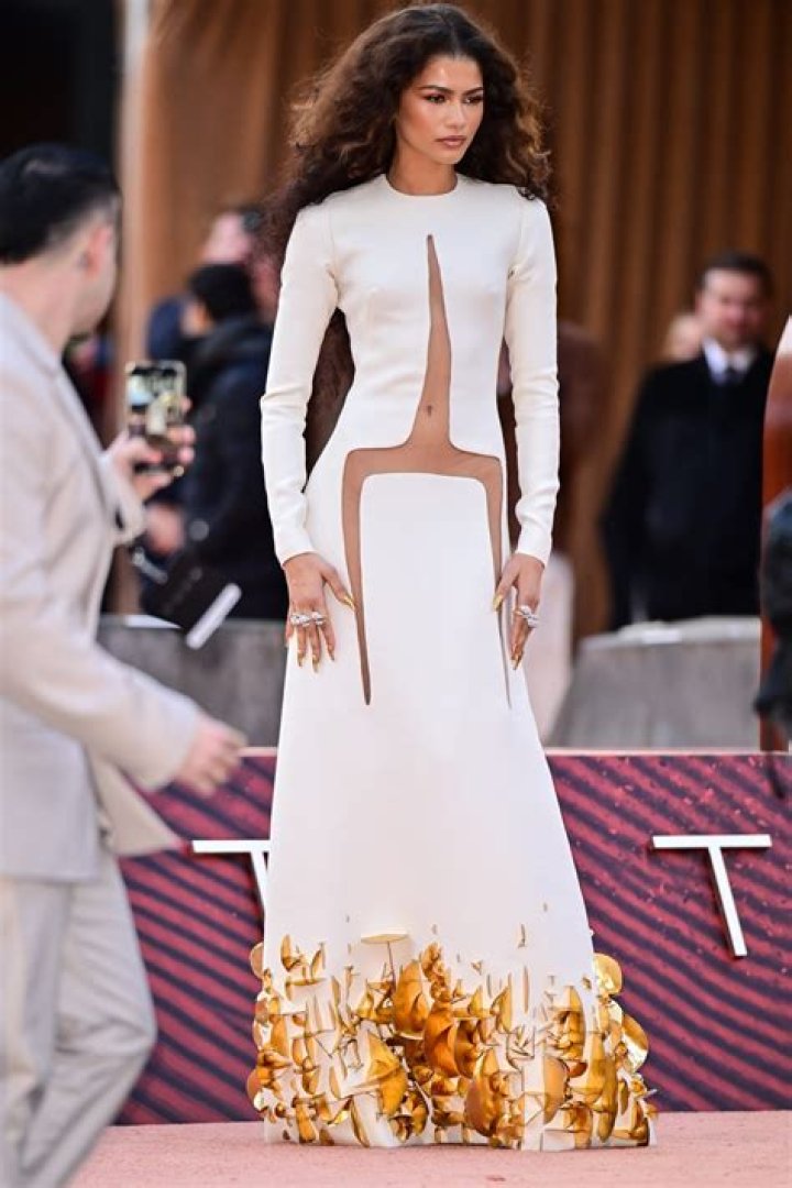 Zendaya is Red Hot in CFDA Awards Look — Celebwell